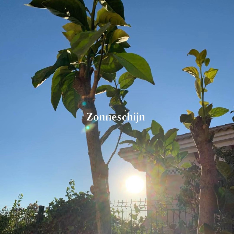 Praktijk Villa Vlinder Karen 1