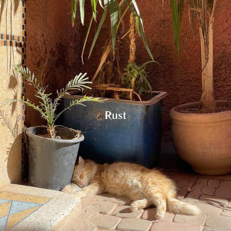 Praktijk Villa Vlinder Valérie 1